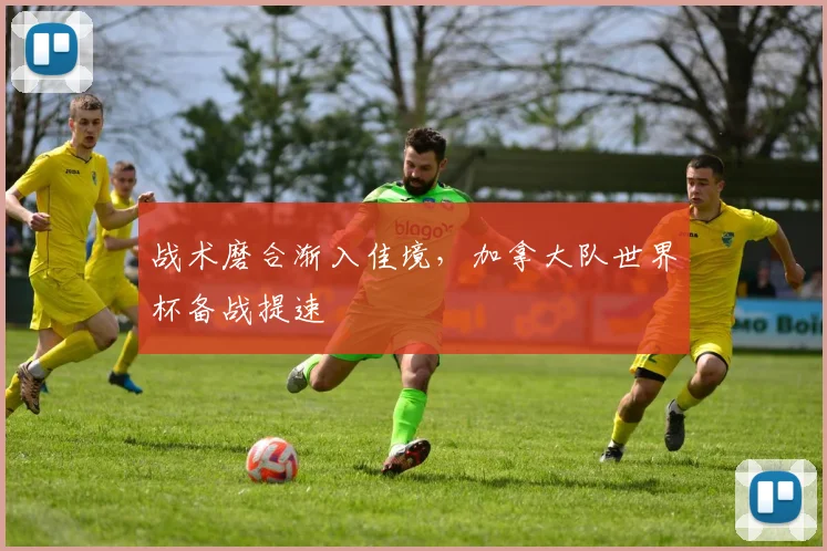 战术磨合渐入佳境，加拿大队世界杯备战提速