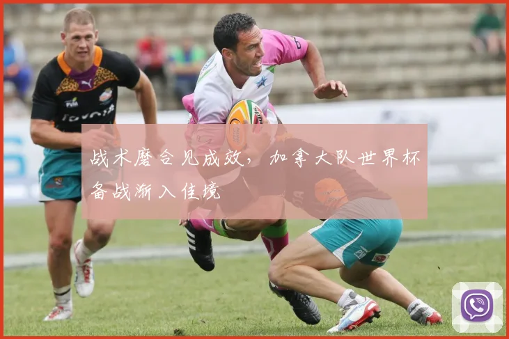 战术磨合见成效，加拿大队世界杯备战渐入佳境