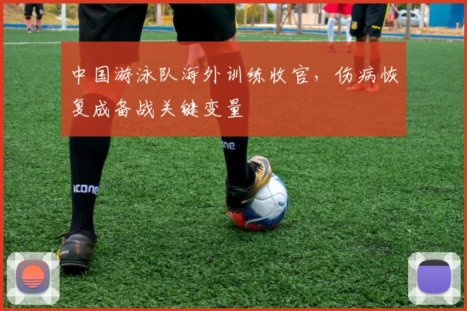 中国游泳队海外训练收官，伤病恢复成备战关键变量